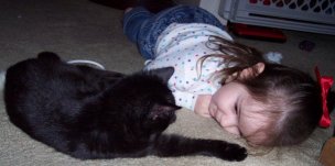 "Playing with my new kitty!" (November 10)