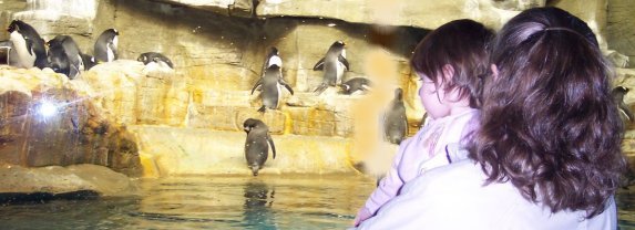 "The penguins were my favorite."