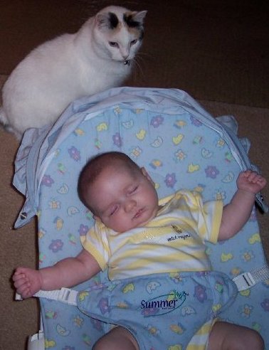 "Matilda stands guard while I nap."&nbsp; (8 weeks)