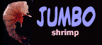 JUMBO shrimp