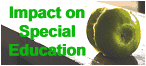 Impact on Special Education