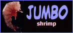 Jumbo Shrimp