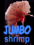 JUMBOshrimp