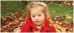 President's Committee for People with Intellectual Disabilities