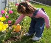 April 24, 2006