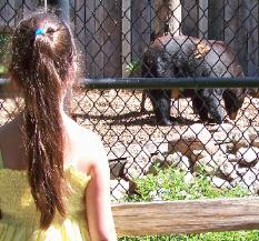 The first time I ever saw a bear!