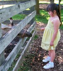 The zoo takes care of animals that are impaired.