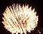 The Fourth of July 2005