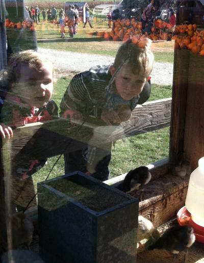 Oren and Brayden checkin' out the chicks.