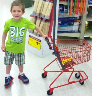 A shopping trip to Jewel.  (June 4, 2016)