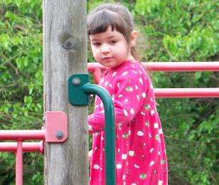 The class picnic at the park. (May 21)