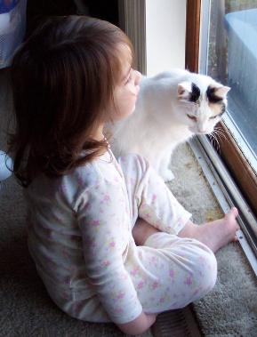 My faithful kitty, Matilda.  (January 2007)